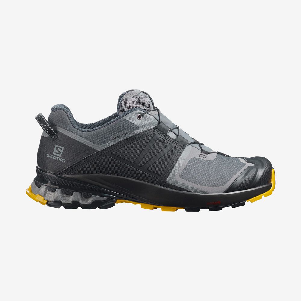 Zapatillas Trail Running Salomon Hombre Gris - Salomon Argentina XA WILD GORE-TEX,819567-GXR